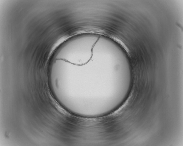 X0000095951114200801110910