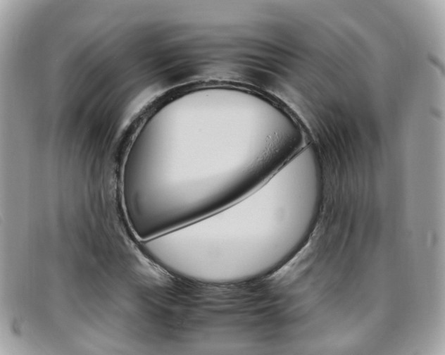 X0000095951115200801110910