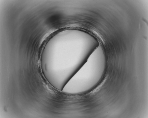 X0000095951117200801110910