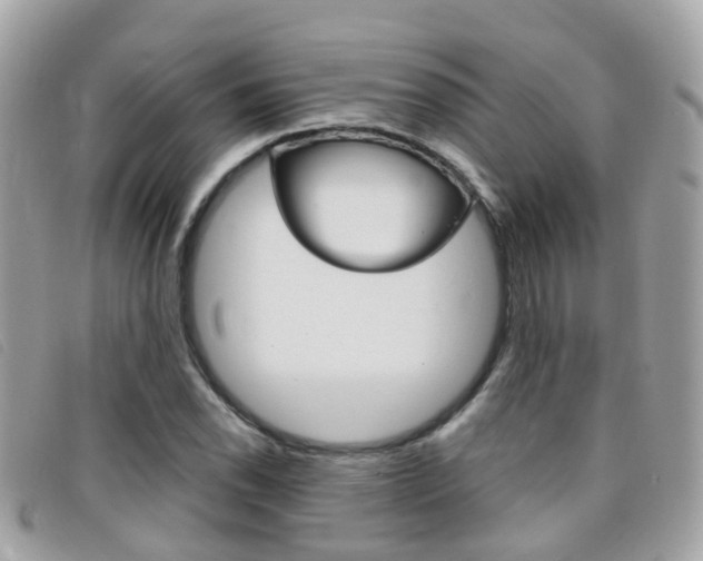 X0000095951118200801110910