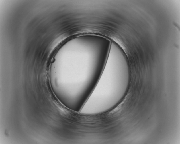 X0000095951119200801110910
