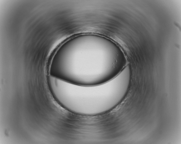 X0000095951120200801110910