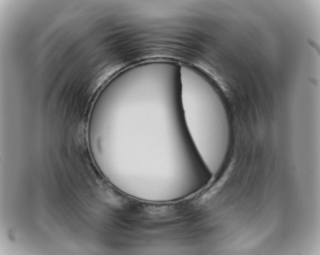 X0000095951121200801110910