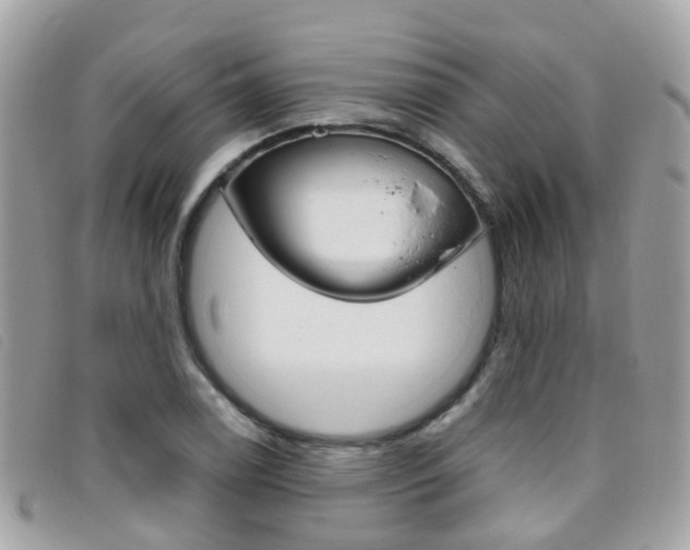 X0000095951122200801110910