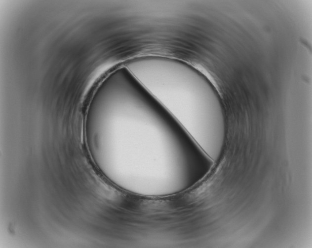 X0000095951123200801110910