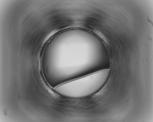 X0000095951127200801110910