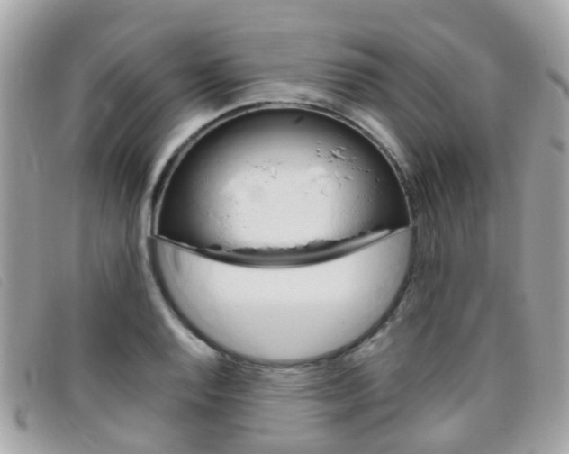 X0000095951128200801110910