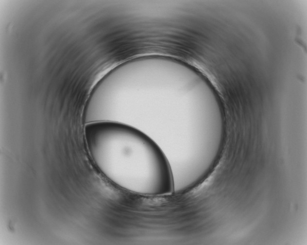 X0000095951129200801110910