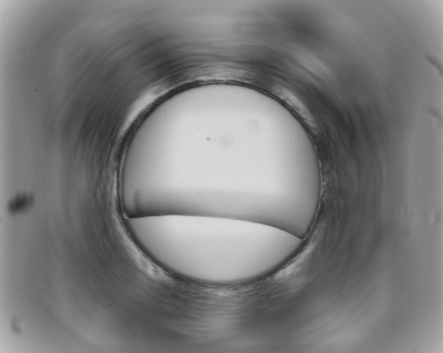 X0000095951130200801110910