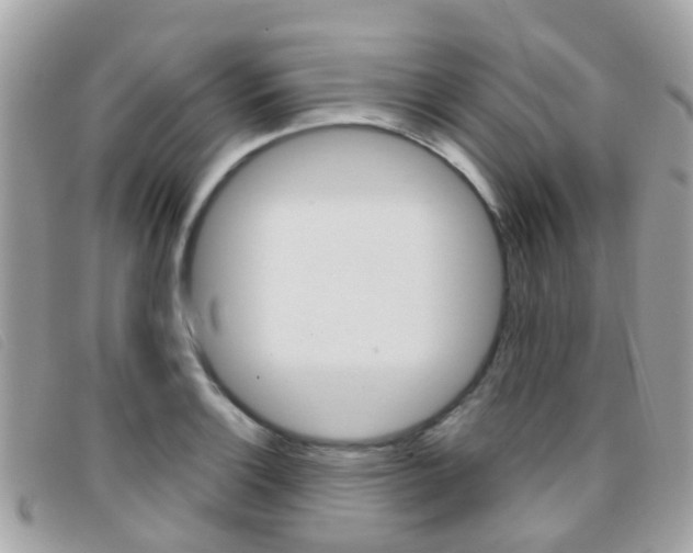 X0000095951132200801110910