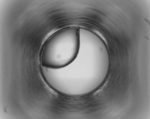 X0000095951133200801110910
