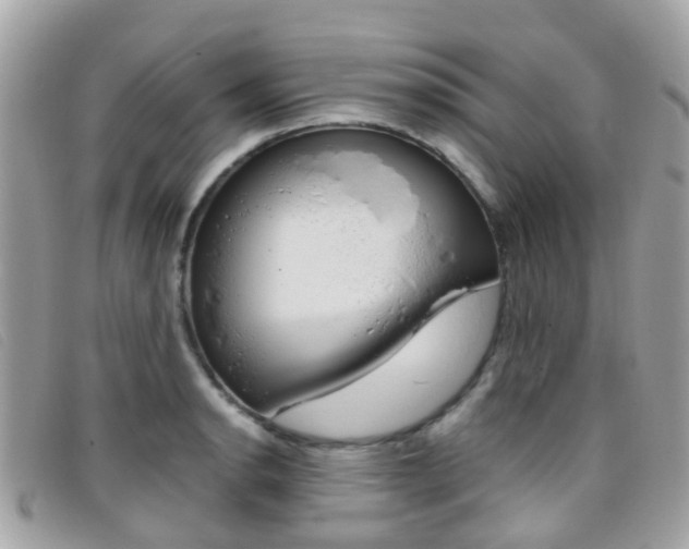 X0000095951134200801110910