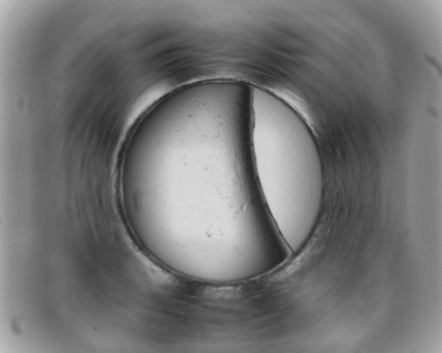 X0000095951135200801110910