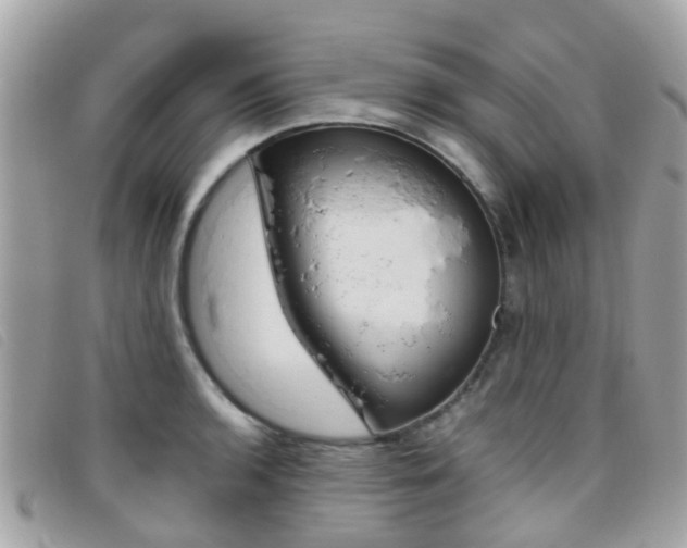 X0000095951136200801110910