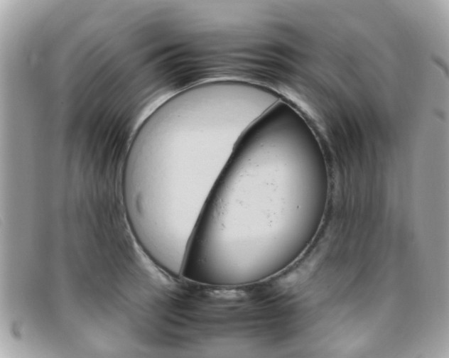 X0000095951137200801110910