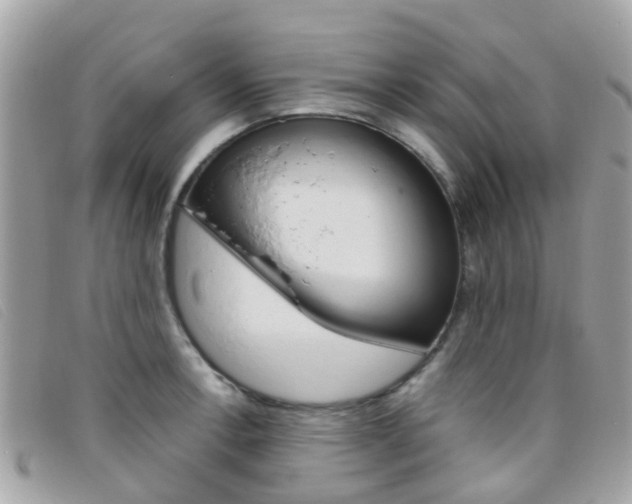 X0000095951138200801110910