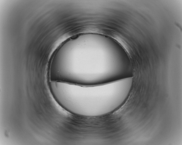 X0000095951139200801110910