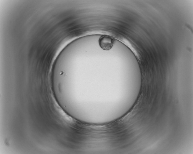 X0000095951140200801110910