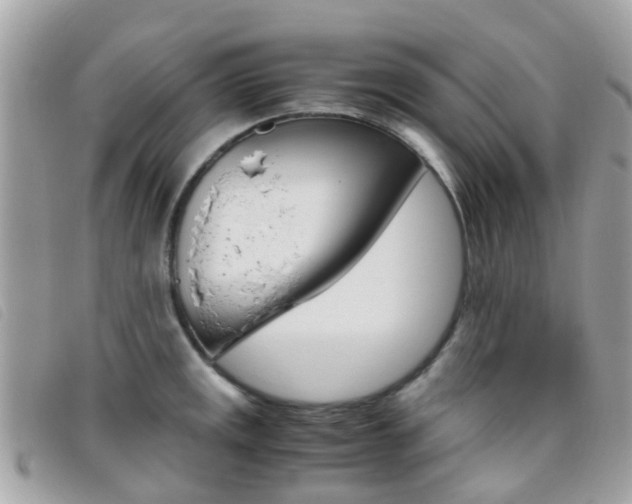 X0000095951141200801110910