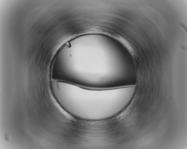 X0000095951142200801110910