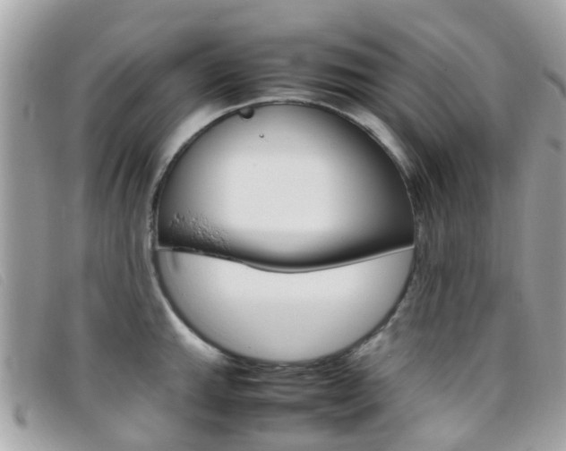 X0000095951143200801110910