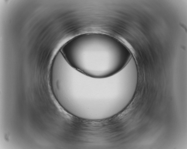 X0000095951144200801110910