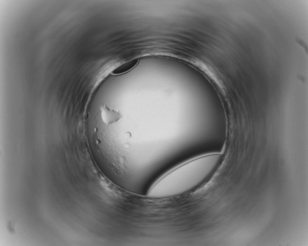 X0000095951145200801110910