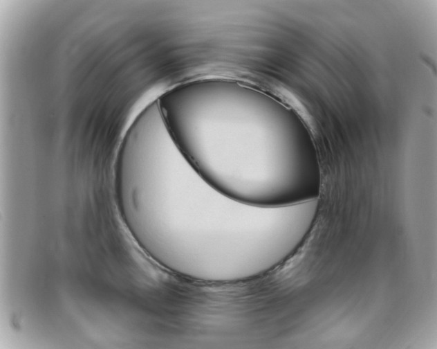 X0000095951146200801110910