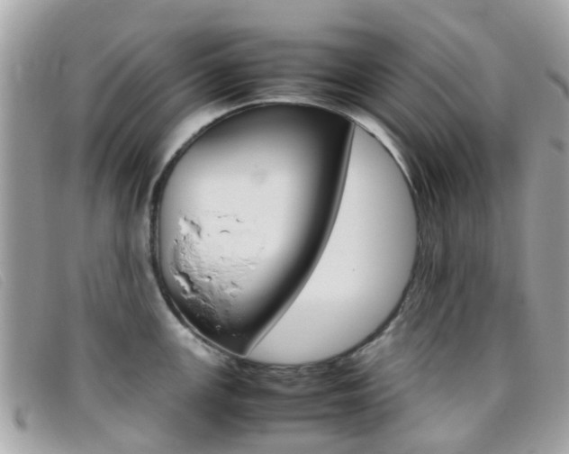 X0000095951147200801110910