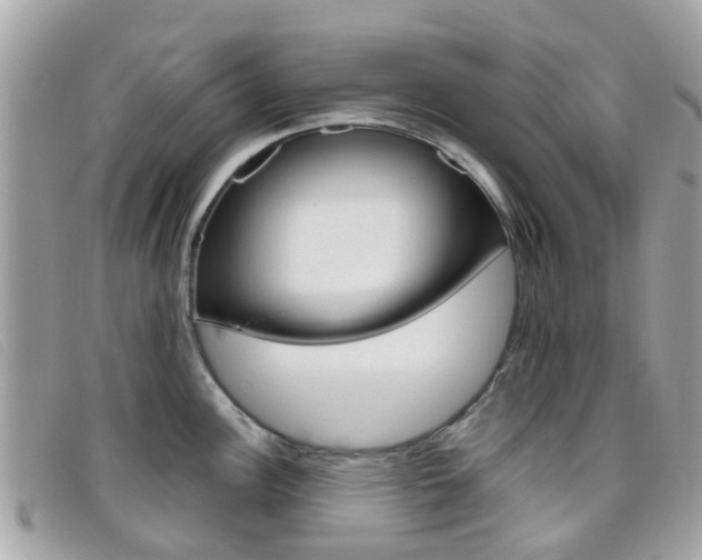 X0000095951148200801110910
