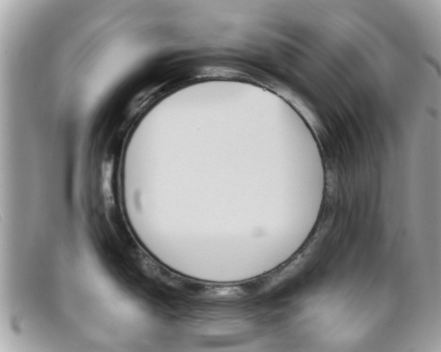 X0000095951150200801110910