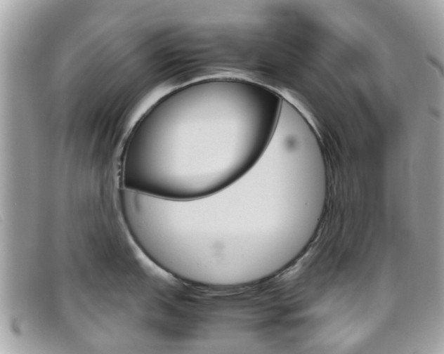 X0000095951151200801110910