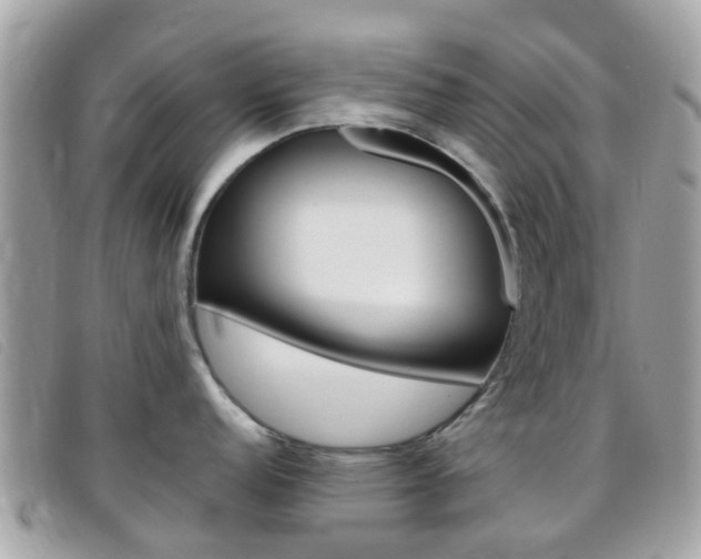X0000095951152200801110910