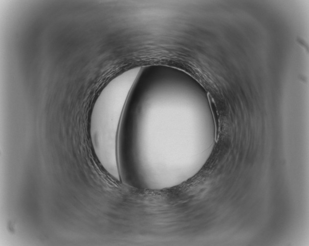X0000095951153200801110910