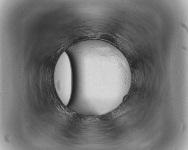 X0000095951154200801110909