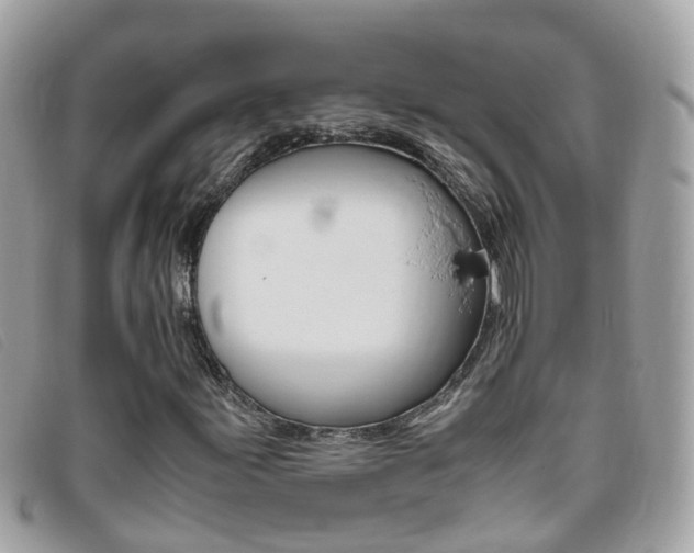 X0000095951155200801110909