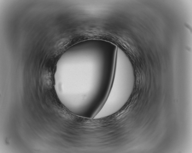 X0000095951156200801110909