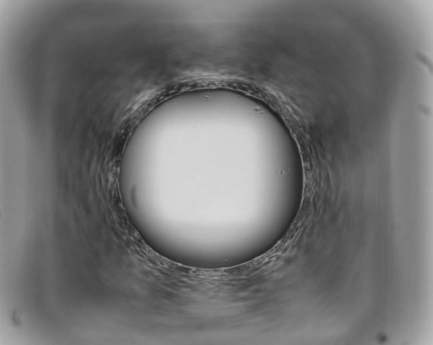 X0000095951157200801110909