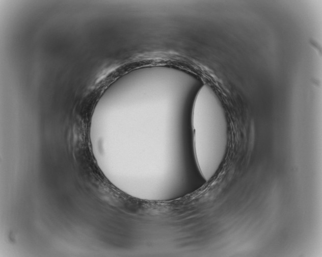 X0000095951158200801110909