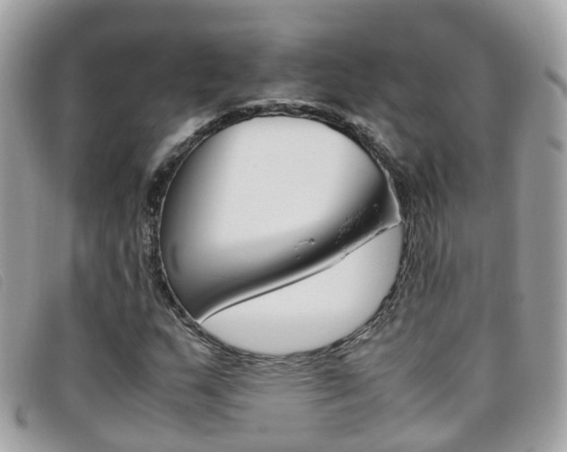 X0000095951159200801110909