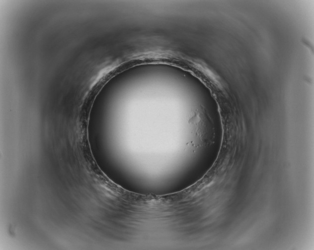 X0000095951160200801110909