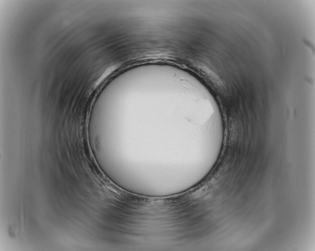 X0000095951162200801110909