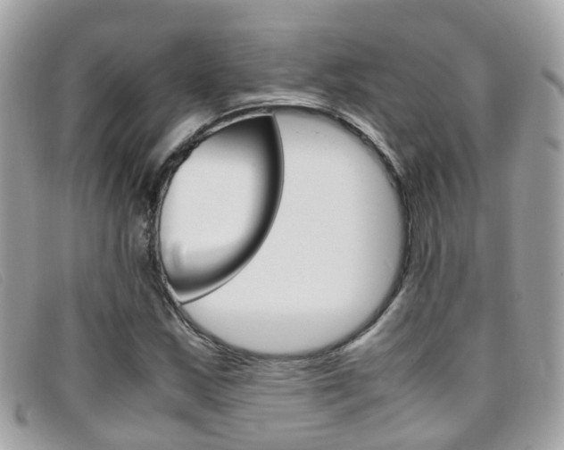 X0000095951163200801110909