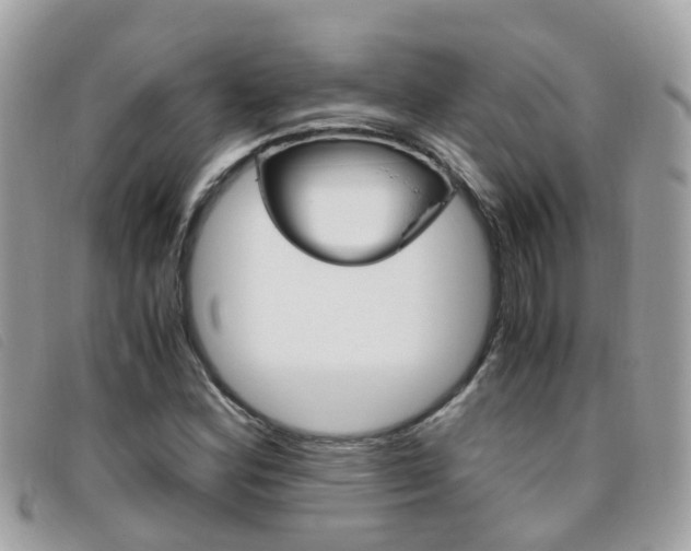 X0000095951164200801110909