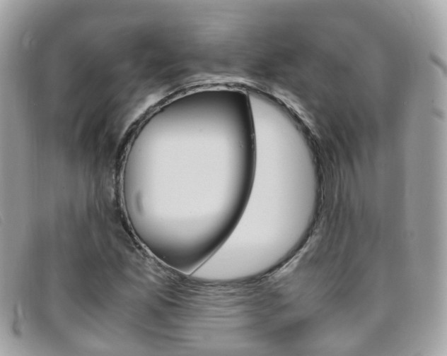 X0000095951165200801110909