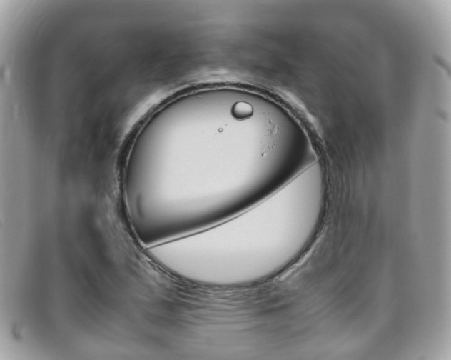 X0000095951167200801110909