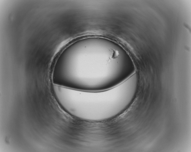 X0000095951168200801110909
