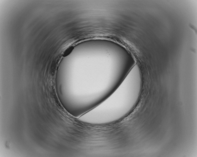 X0000095951169200801110909