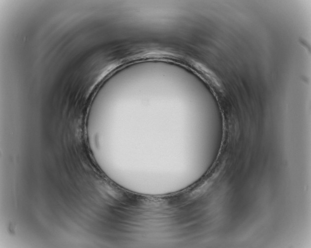 X0000095951170200801110909