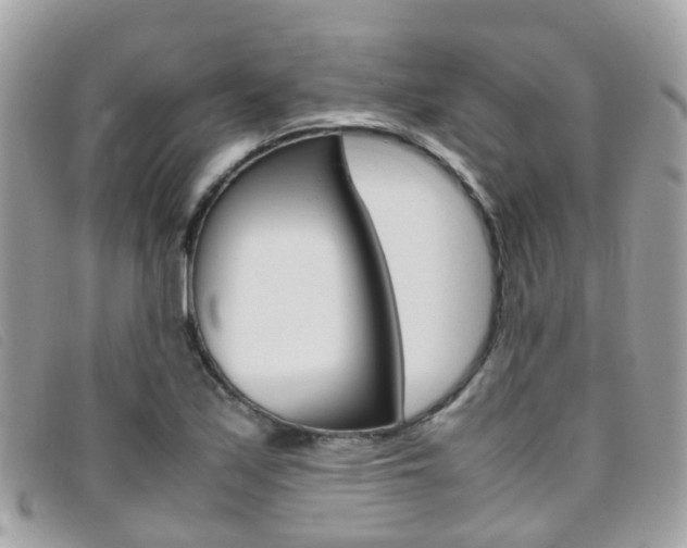 X0000095951171200801110909